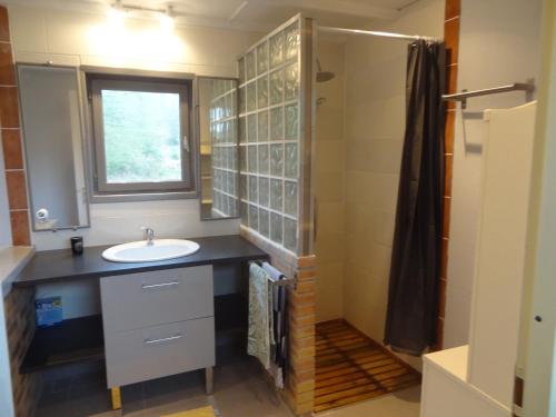 y baño con lavabo y ducha. en Les Ecuries du Préchard, en La Chapelle-Chaussée