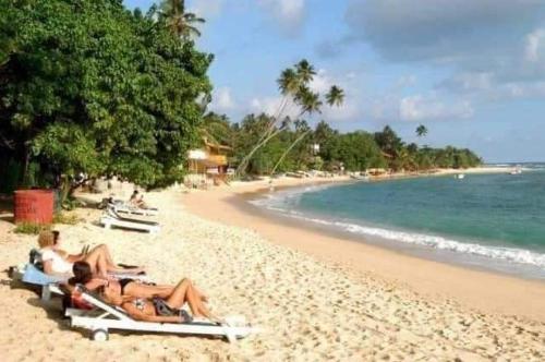 Landskap semula jadi dekat dengan apartmen