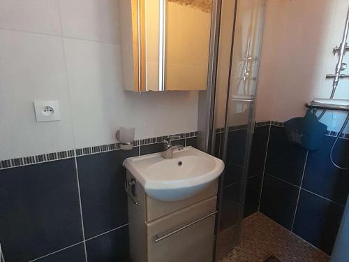 uma casa de banho com um lavatório e um chuveiro em Studio Quiberon, 1 pièce, 4 personnes - FR-1-478-175 em Quiberon
