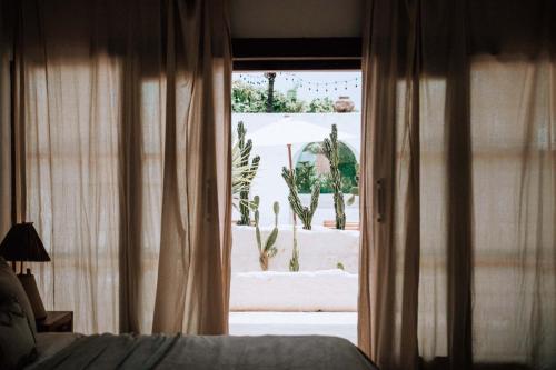 a bedroom with a bed and a window with a cactus at Hotel Sages in Canggu
