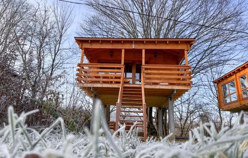 una casa en el árbol con una escalera en el césped en Casute in copac & Case A frame, en Porumbacu de Sus