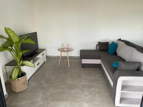 a living room with a couch and a potted plant at Arbre à pain in Bras-Panon