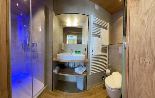 a bathroom with a sink and a shower and a toilet at Appartement Hubner in Ramsau am Dachstein