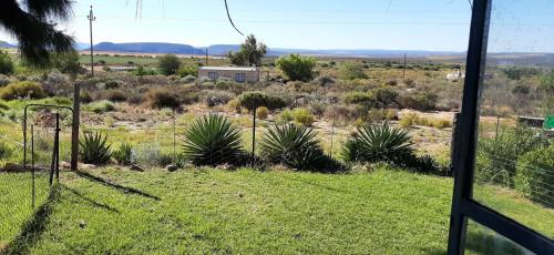 a view from a window of a field with plants at Neels Cottage in Clanwilliam