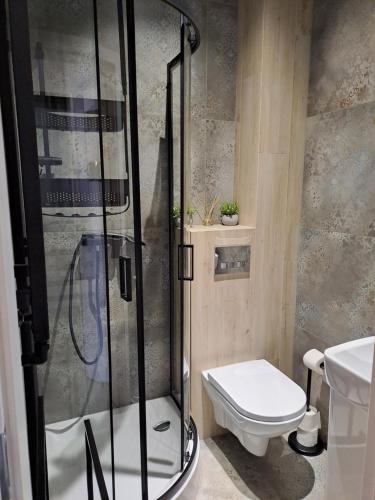 łazienka z prysznicem i toaletą w obiekcie Prokocim Apartments w Krakowie
