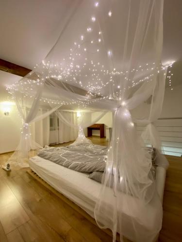 sypialnia z białym łóżkiem z baldachimem i oświetleniem w obiekcie Apartament z jacuzzi w Krakowie