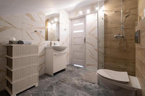 アウグストゥフにあるCity Center Apartments Mostowa 17Aのトイレ、洗面台、シャワー付きのバスルーム