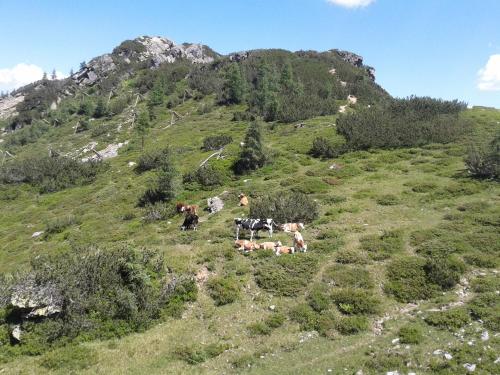 Paisaje cerca de este hotel