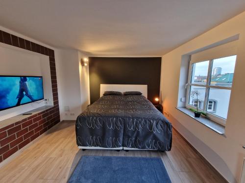 a bedroom with a bed and a flat screen tv at Spatzennest in Dresden