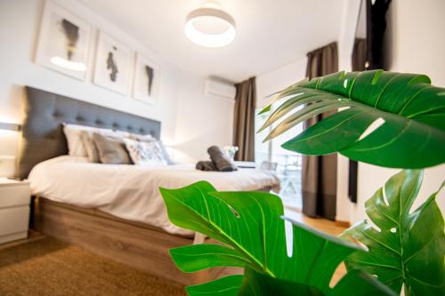 Apartment Puerto Marina - First Line Beach - Benalmadena - Málaga photo 24