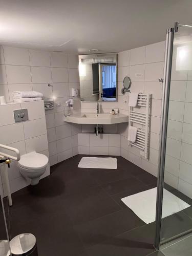 a bathroom with a sink and a toilet at Logis Hôtel Ettenheim in Strasbourg