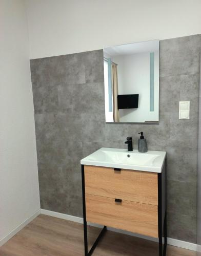 a bathroom with a sink and a mirror at Apartment Steirawohnzimmer in Haus im Ennstal