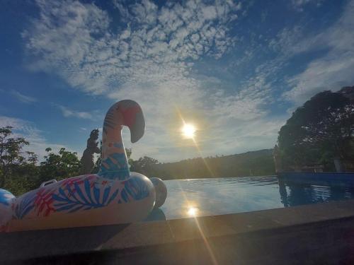 a swimming pool with a swan in the water at Innora Jungle Resort And Spa in Nusa Penida