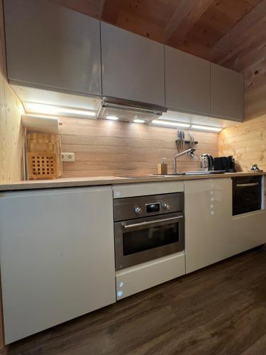 a kitchen with stainless steel appliances and wooden walls at Alpenburg Bergparadies Apartments in Wald am Arlberg
