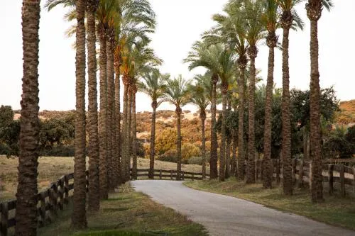 Alojamiento Rural Finca Barral photo 32