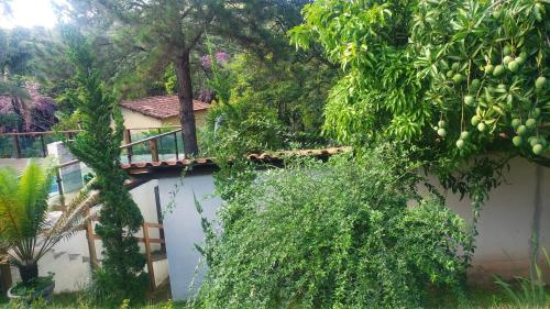 Taman di luar Sítio Alazão