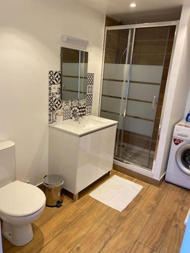 a bathroom with a toilet and a sink and a shower at Logement avec mezzanine in Tremblay-En-France