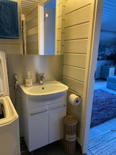 a bathroom with a sink and a mirror at Paritalomökki Lomariihi 4 in Muurame