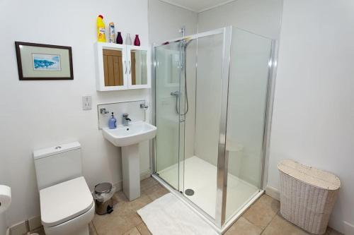a bathroom with a shower and a toilet and a sink at Laurel Cottage at Williamscraig Holiday Cottages in Linlithgow