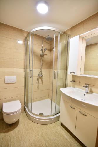 a bathroom with a shower and a toilet and a sink at Apartments Sana in Vir