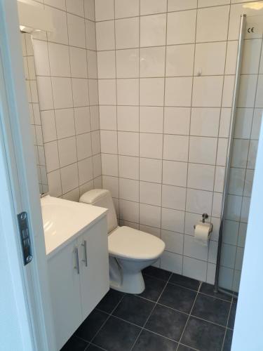 a bathroom with a toilet and a sink at Molde Vandrerhjem Hostel in Molde