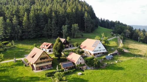 an aerial view of a house on a hill at Ferienhof Kienbronnerhof in Schiltach