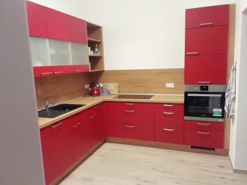 Czerwona kuchnia ze zlewem i kuchenką mikrofalową w obiekcie Loewe Bad Frankenhausen w mieście Bad Frankenhausen