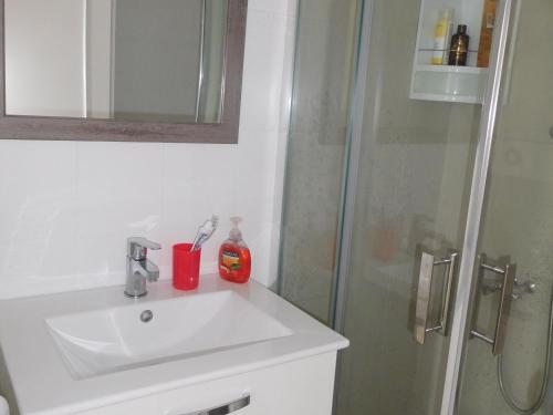 La salle de bains est pourvue d'un lavabo et d'une cabine de douche. dans l'établissement Maison La Faute-sur-Mer, 2 pièces, 4 personnes - FR-1-476-184, à La Faute-sur-Mer