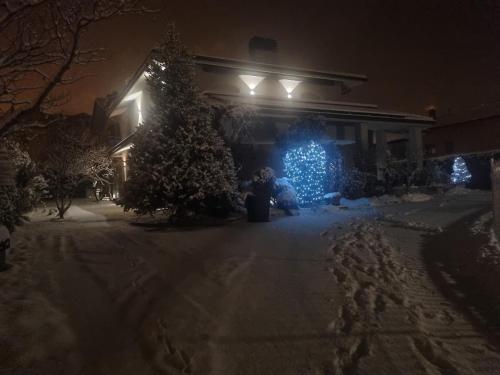 a house with a christmas tree and lights in a yard at Case vacanze Chabloz in Nus