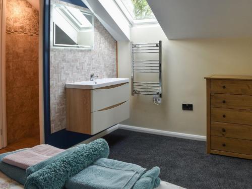 a bathroom with a sink and a skylight at Moorhens in Herstmonceux