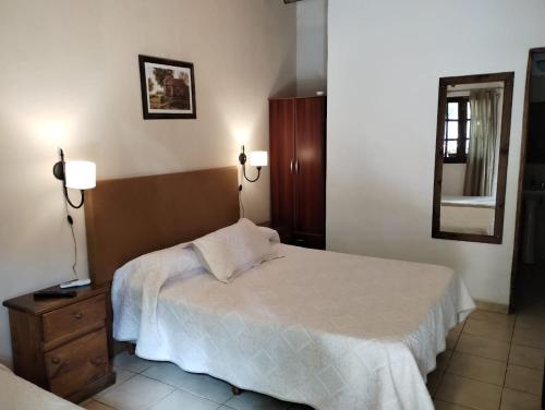 1 dormitorio con cama, tocador y espejo en Posada Chalet de Bassi en Mendoza