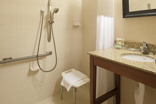 霍蘭的住宿－赫蘭德卡爾森江山旅館，带淋浴和盥洗盆的浴室