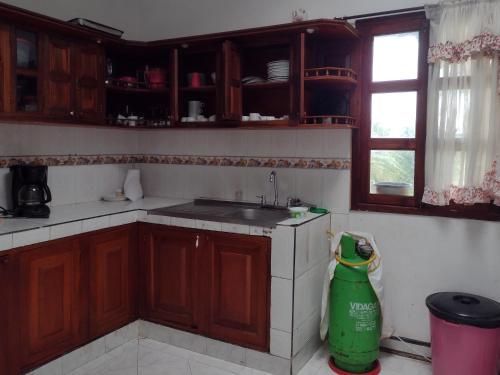 a kitchen with a sink and a green vacuum at Ecopolis casa de campo in Papagalleros