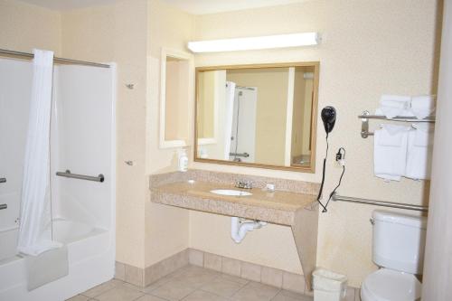 a bathroom with a sink and a mirror and a toilet at Wingate by Wyndham Youngstown - Austintown in Youngstown