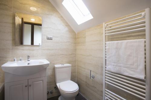 een badkamer met een toilet, een wastafel en een spiegel bij Rumbo Sur Apart Hotel in Coihaique