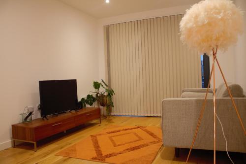 sala de estar con TV y sofá en whats she want-- 2beds 2bath apartment en Birmingham