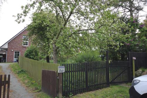 a fence in front of a house with a tree at Ferienwohnung Frida in Althagen