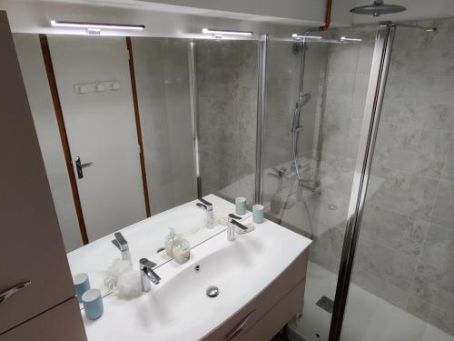 une salle de bain avec un lavabo blanc et une douche dans l'établissement Les Chardonnerets, à Le Mont-Dore