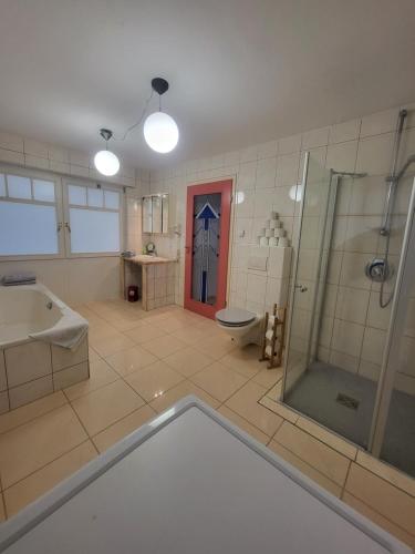 een badkamer met een douche, een wastafel en een toilet bij Gestüt Kaiserhof in Legelshurst