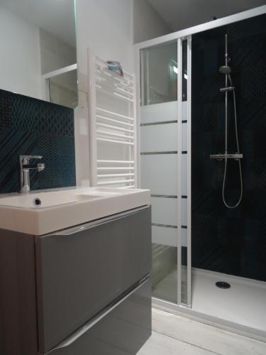 een badkamer met een wastafel en een douche bij L'escale Niortaise - Centre-ville - 10mn Gare - WIFI - Netflix in Niort