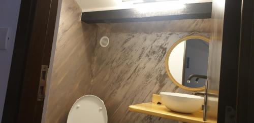 een badkamer met een wastafel en een spiegel bij Green Forest Apartments in Buşteni
