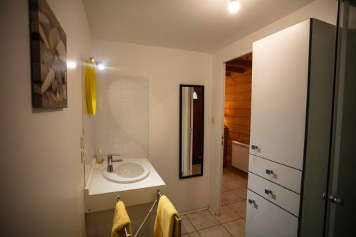 W łazience znajduje się umywalka i lustro. w obiekcie guesthome la petite salette w mieście Monestier-de-Clermont
