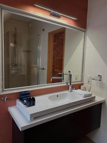 a bathroom with a sink and a large mirror at Boutique Guest House in Liepāja