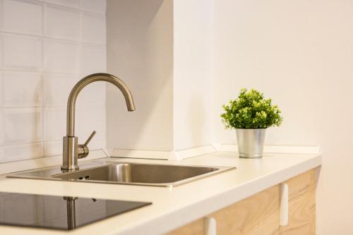 eine Küchentheke mit Spüle und Topfpflanze in der Unterkunft Apartamento Málaga Marmoles 2 in Málaga