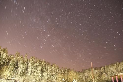 a starry night with trees and stars in the sky at Higashikawa Asahidake Onsen Hotel Bear Monte in Higashikawa