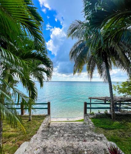 a view of the ocean from a beach with palm trees at Villa Santuario Lake front Oasis in Bacalar