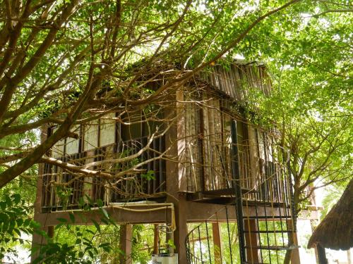 a building with a bunch of trees in front of it at Villa Santuario Lake front Oasis in Bacalar