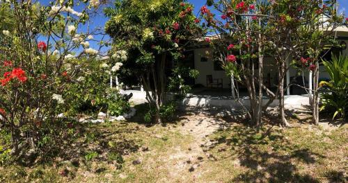 un jardín con flores y árboles frente a una casa en Moana Breeze Eco Lodge en Tiputa