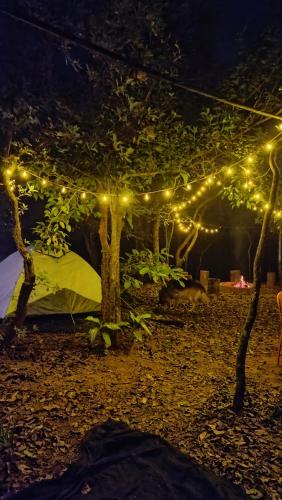 Pearl valley campsite – Photos 2