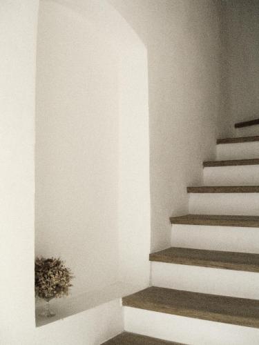 a staircase with a potted plant in a room at Albergo Diffuso Crispolti in Labro Rieti